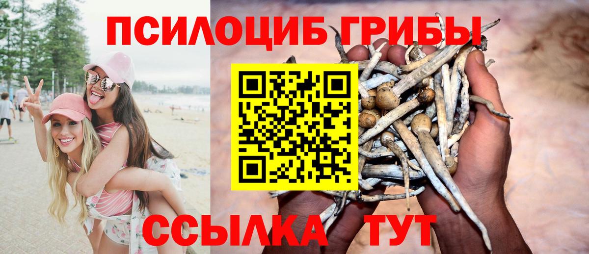 Псилоцибиновые грибы мухоморы Дмитров